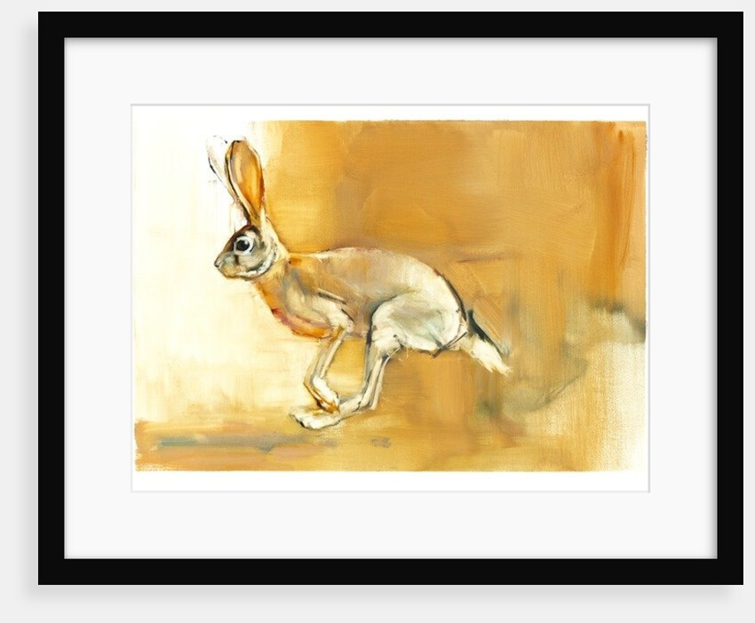 Cape Hare, 2010 by Mark Adlington