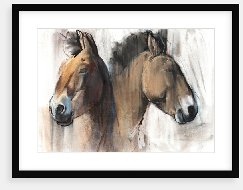 Head Study 2012 by Mark Adlington