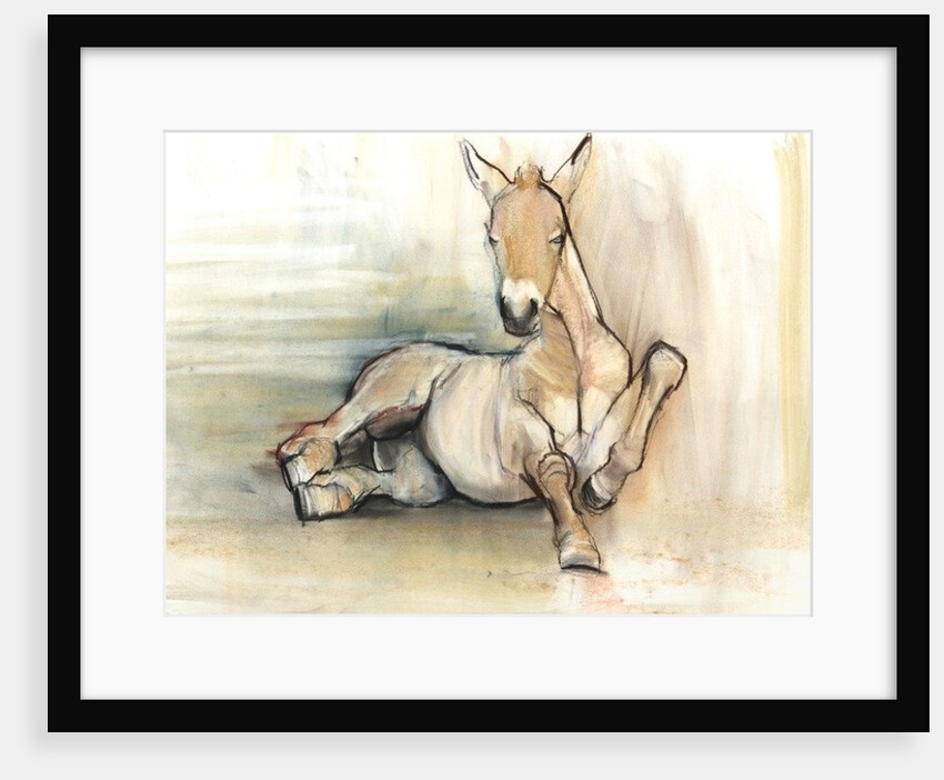 Foal, 2012, by Mark Adlington