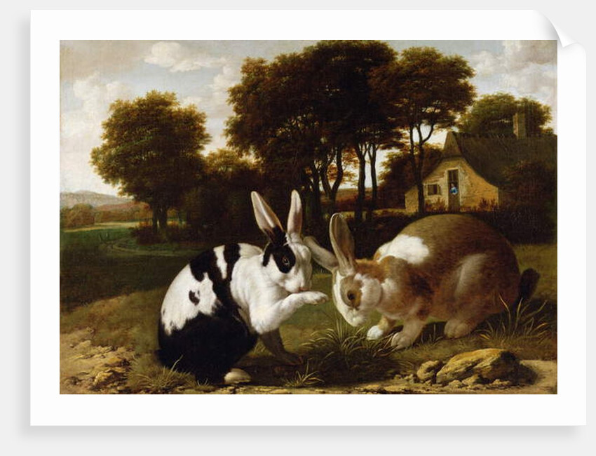Two Rabbits in a Landscape, c.1650 by Haarlem School