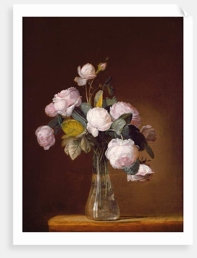 Roses on a Stone Ledge by Jean-Louis Prevost