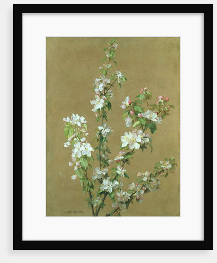 Apple Blossom by Jean Benner