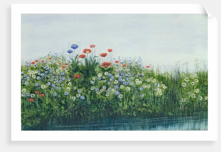 Poppies by a Stream by Andrew Nicholl