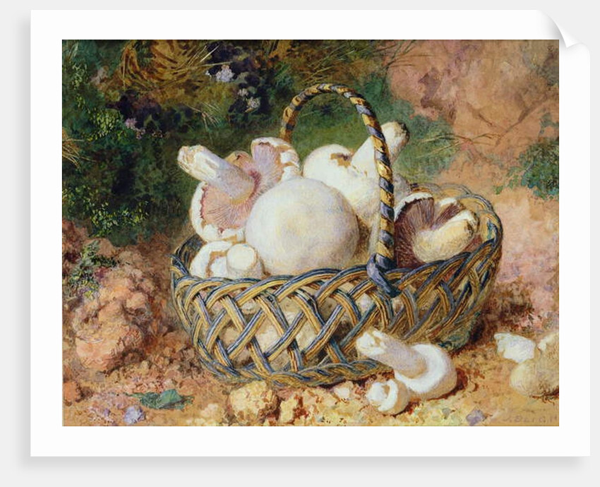 A Basket of Mushrooms, 1871 by Jabez Bligh