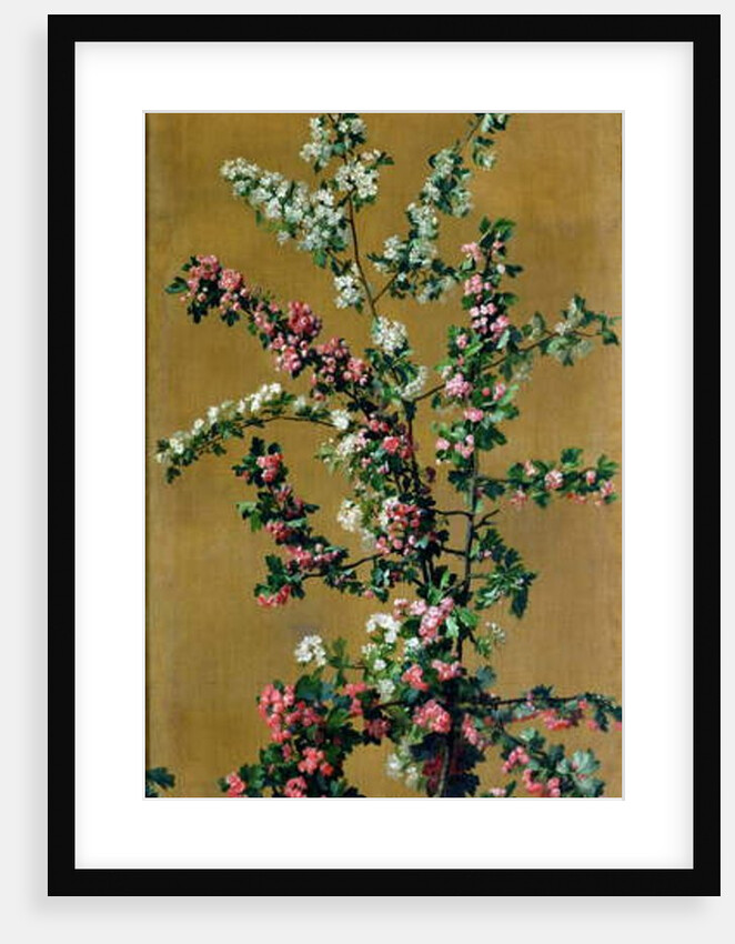 Japanese Cherry Tree and Hawthorn Branches by Jean Benner
