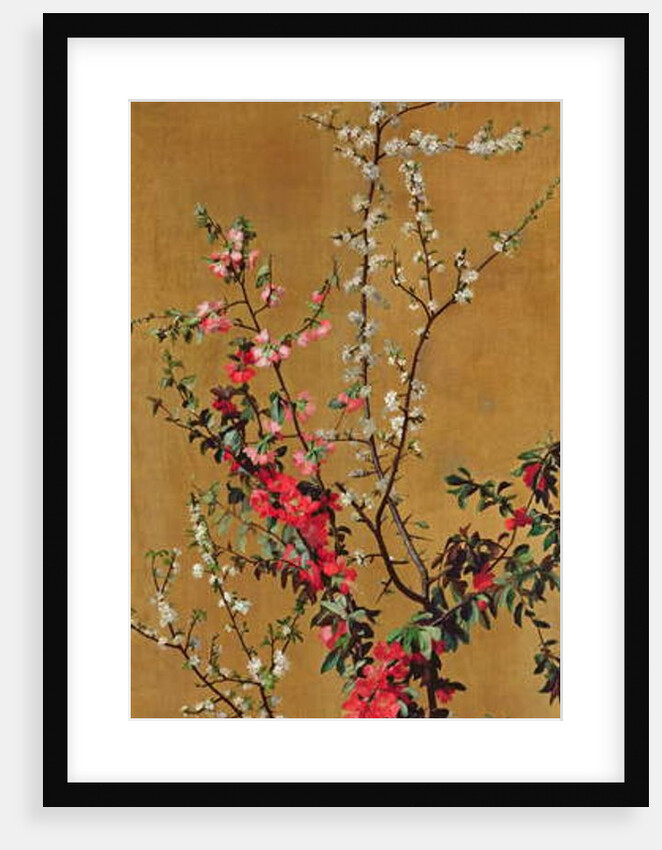 Japanese Cherry Tree and Hawthorn Branches by Jean Benner
