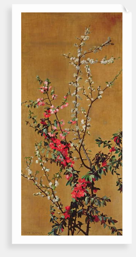 Japanese Cherry Tree and Hawthorn Branches by Jean Benner