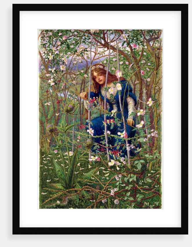 The Briar Wood by Woodbine K. Hinchliff