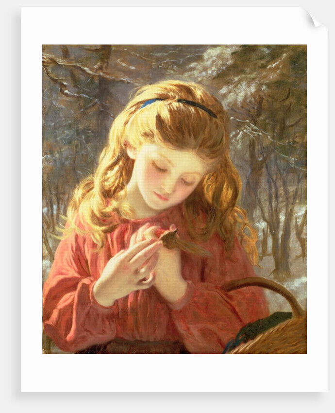 A New Friend, 19th century by Sophie Anderson