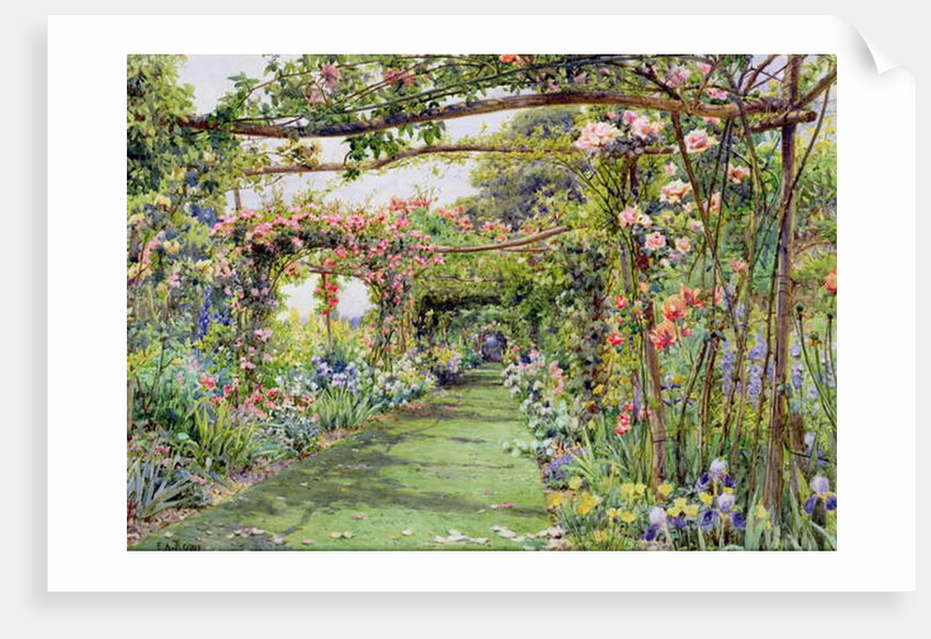 The Rose Pergola, Blackhurst House, Tunbridge Wells, Kent by Ernest Arthur Rowe