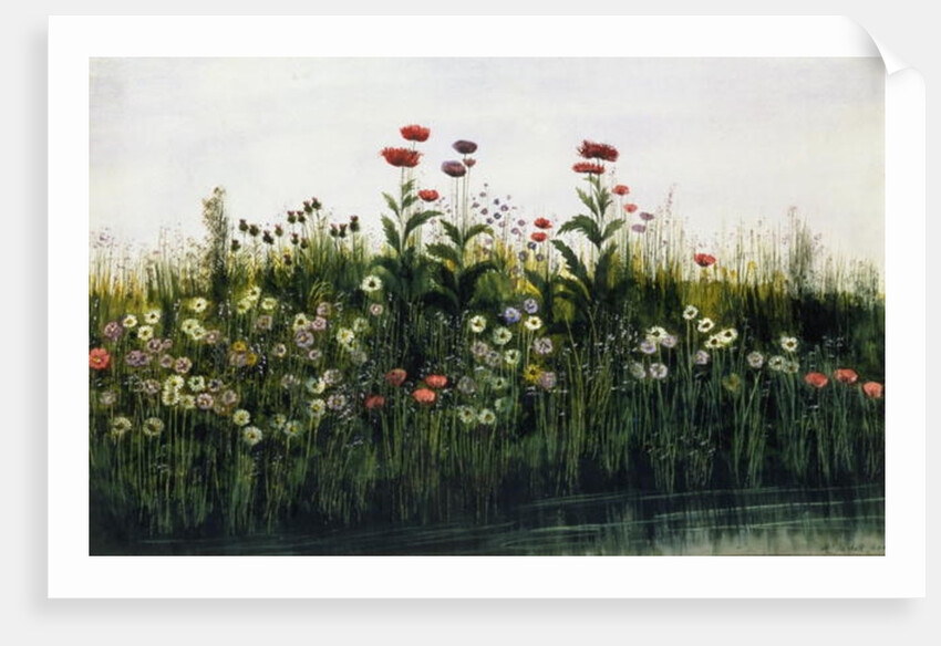 Poppies, Daisies and Thistles on a River Bank by Andrew Nicholl