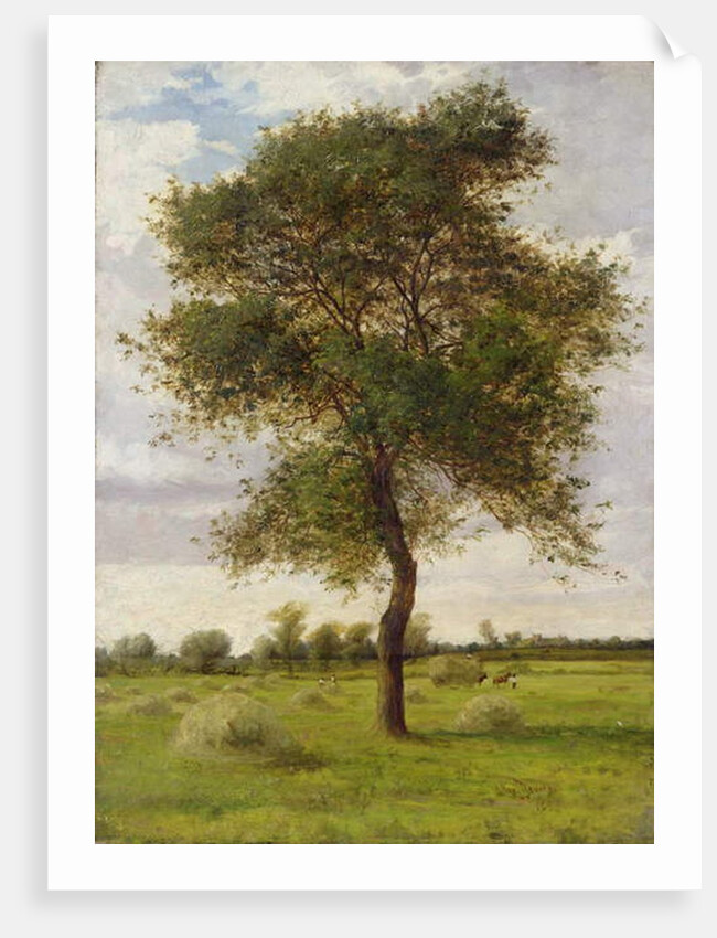 Study of an Ash Tree in Summer, 1883 by James Hey Davies