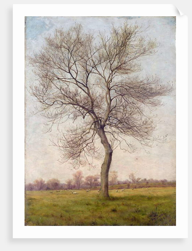 Study of an Ash Tree in Winter, 1883 by James Hey Davies