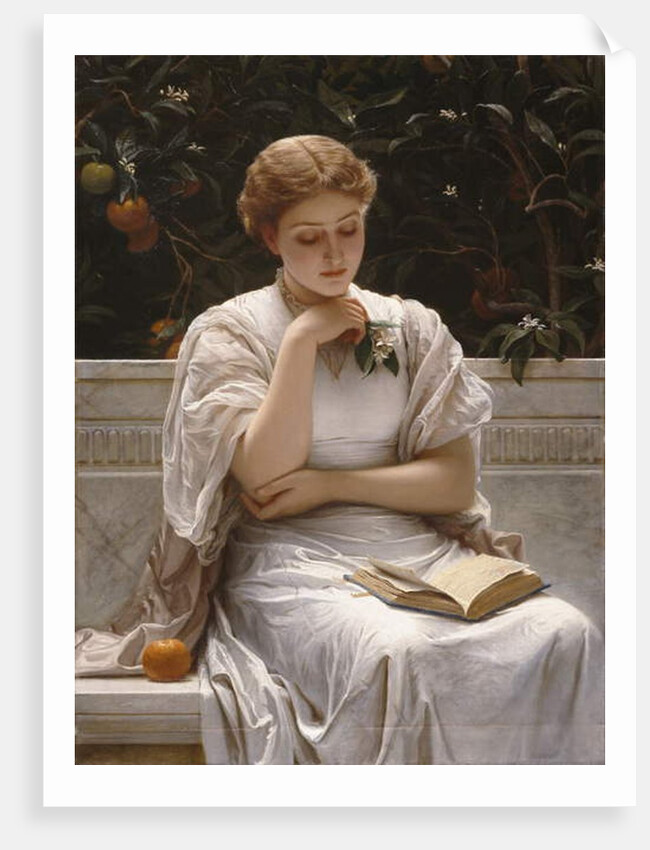 Girl Reading, 1878 by Charles Edward Perugini