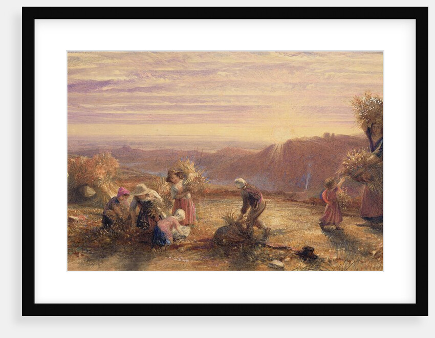 Sunset over the Gleaning Fields, 1855 by Samuel Palmer