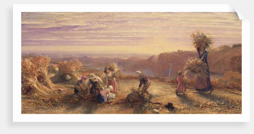 Sunset over the Gleaning Fields, 1855 by Samuel Palmer