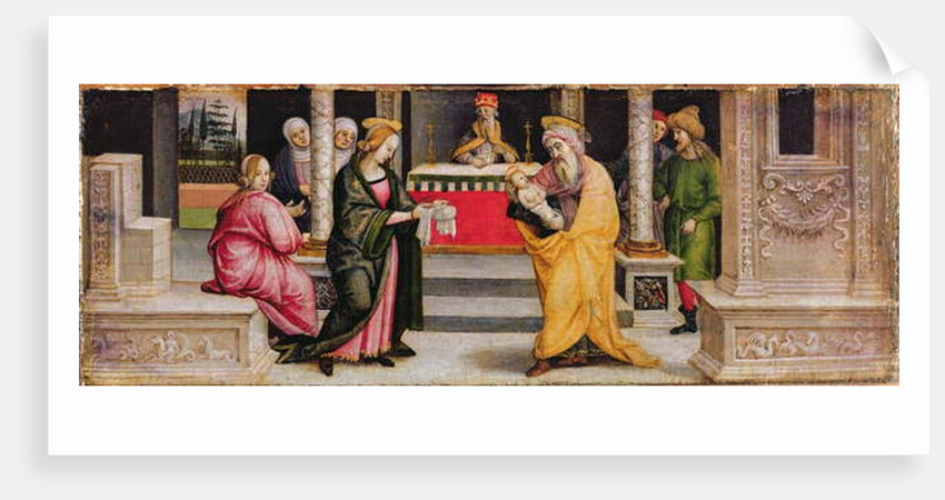The Presentation in the Temple, c.1510 by Pietro (follower of) Perugino