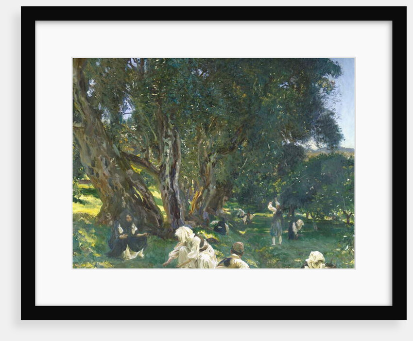Albanian Olive Gatherers, 1909 by John Singer Sargent