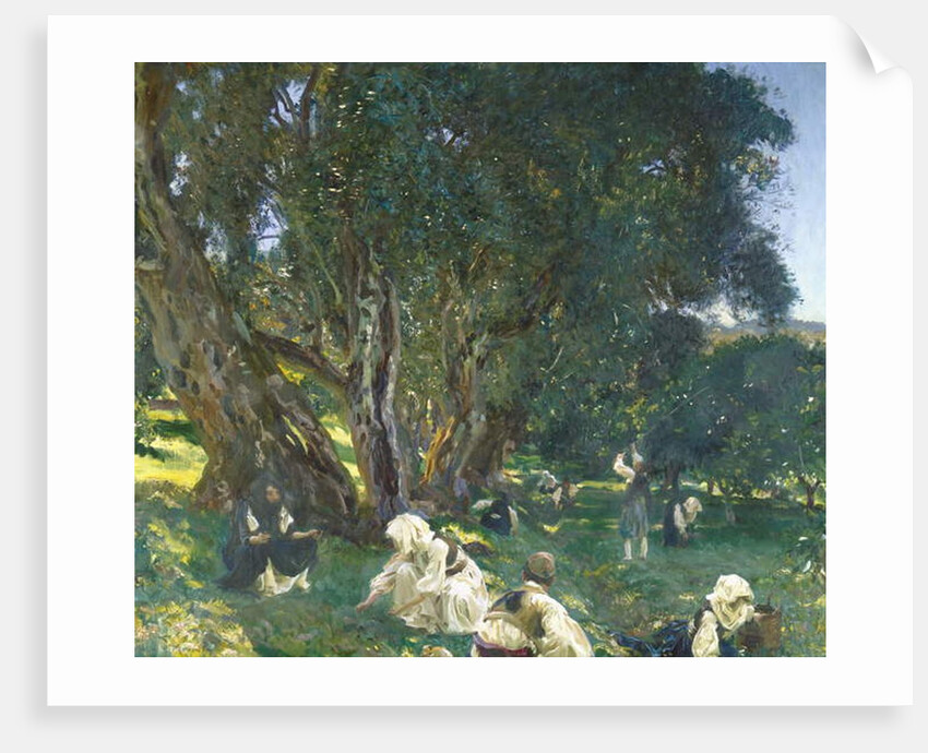 Albanian Olive Gatherers, 1909 by John Singer Sargent