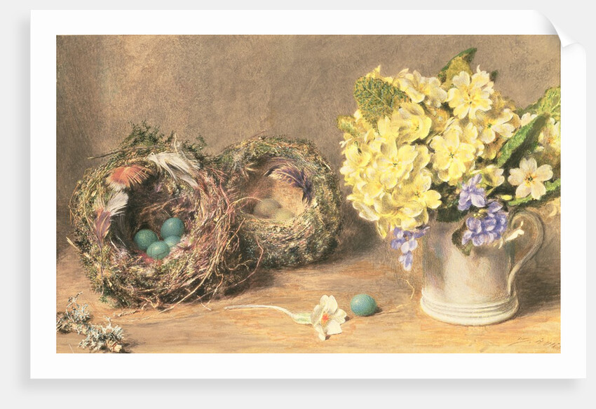 Spring Flowers and Birds' Nests, c.1830 by William Henry Hunt