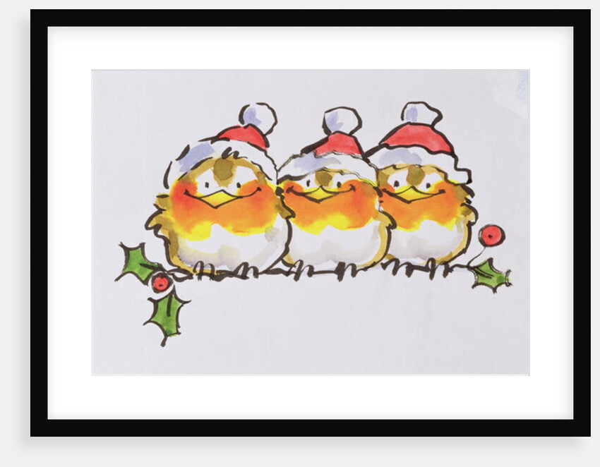 Christmas Robins by Diane Matthes