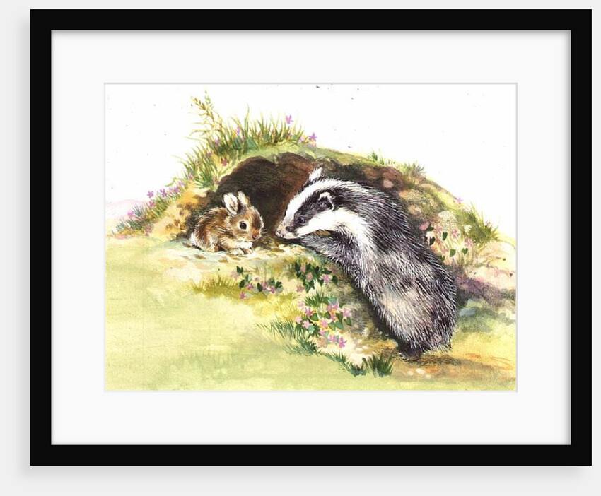 Badger and a Rabbit by Diane Matthes