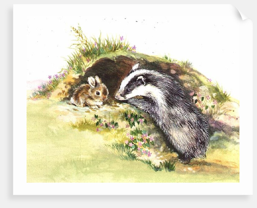 Badger and a Rabbit by Diane Matthes