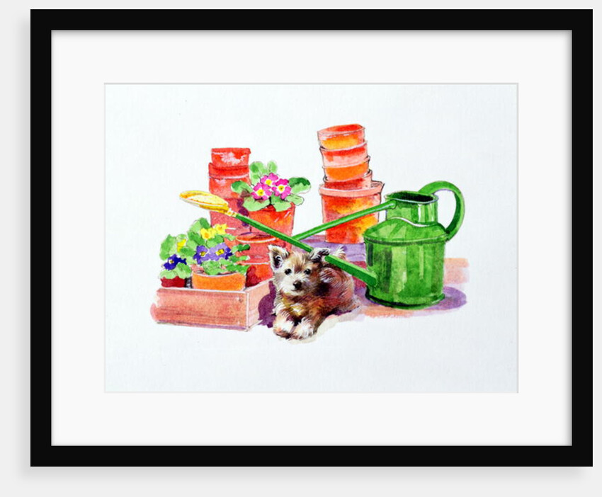 Terrier amongst Terracotta Pots by Diane Matthes