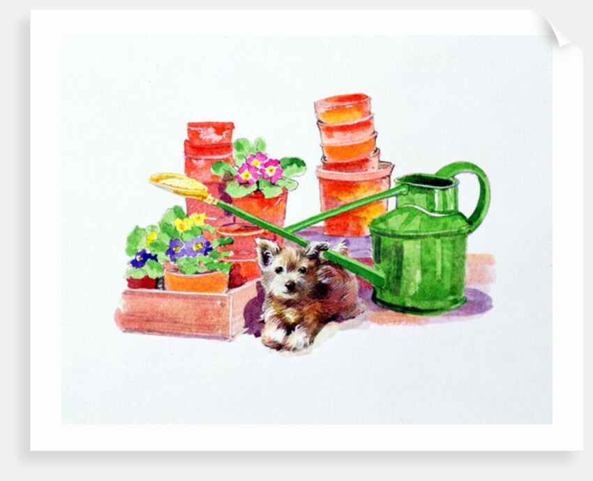 Terrier amongst Terracotta Pots by Diane Matthes