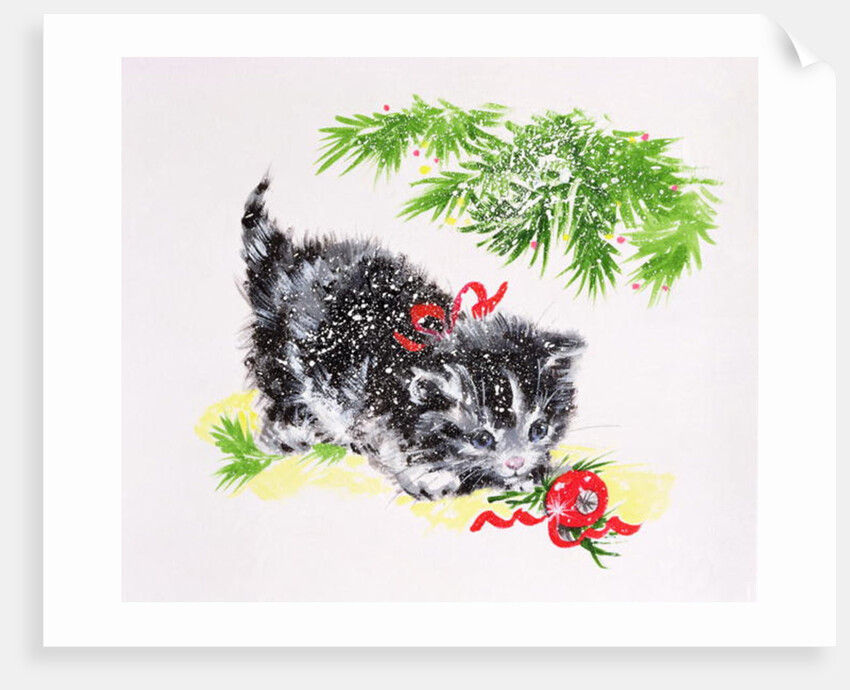 Christmas Kitten by Diane Matthes