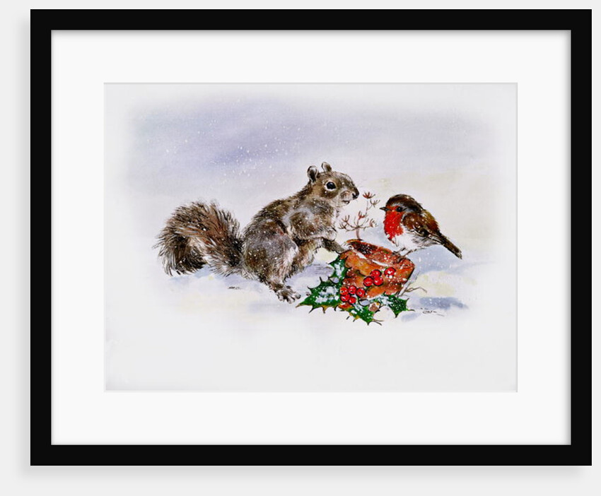 The Squirrel and the Robin by Diane Matthes
