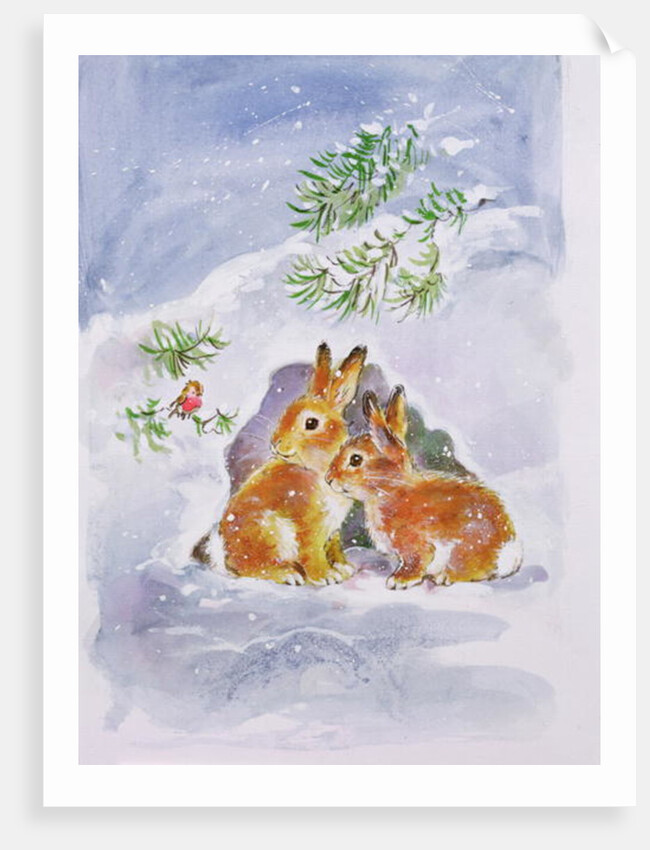 A Christmas Message by Diane Matthes