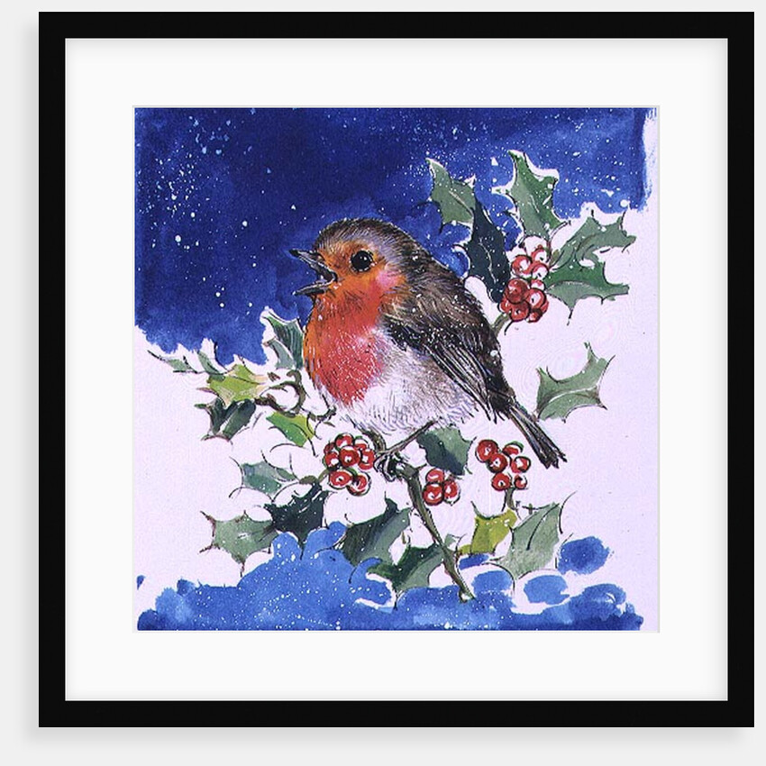 Robin Red-breast, 1996 by Diane Matthes