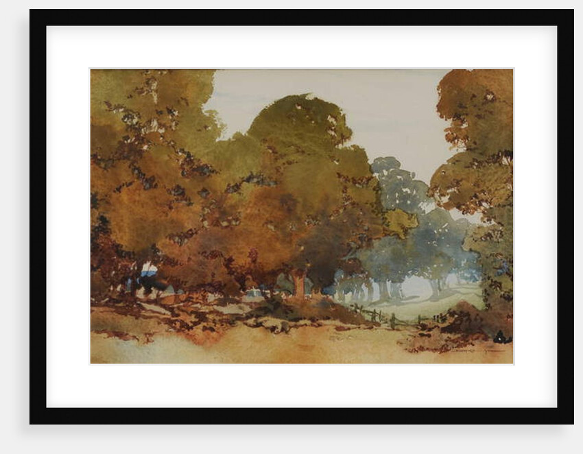 Gum trees by William Blamire Young