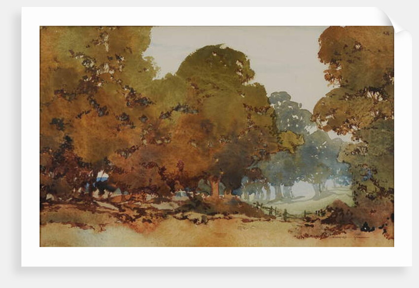 Gum trees by William Blamire Young