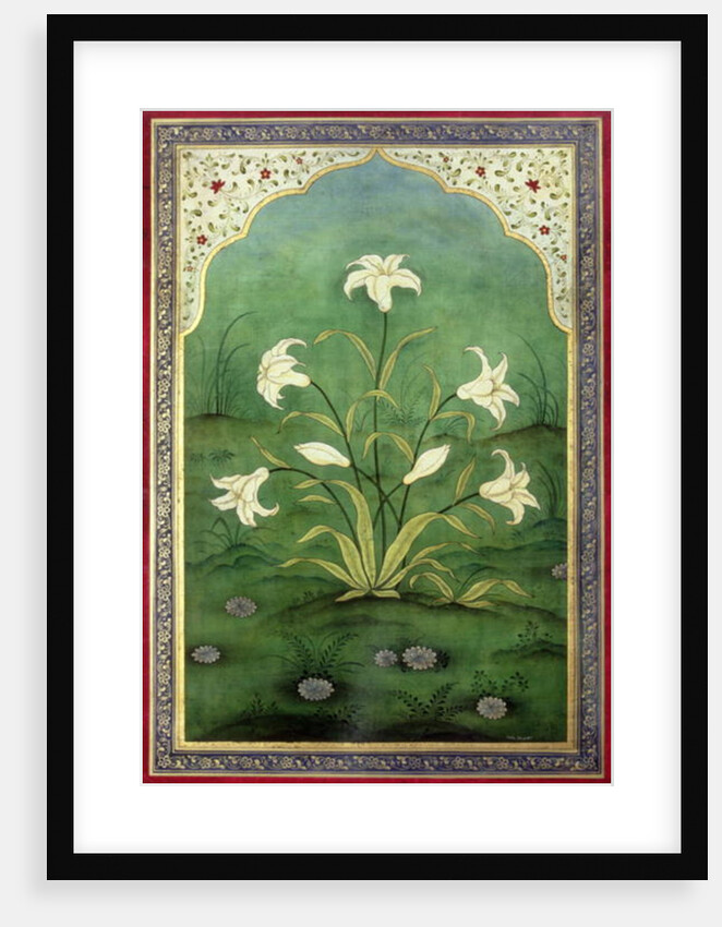 White Lilies by Mark Briscoe