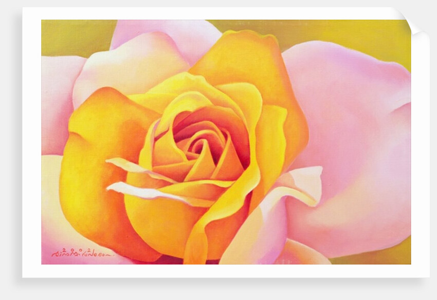 The Rose, 2002 by Myung-Bo Sim