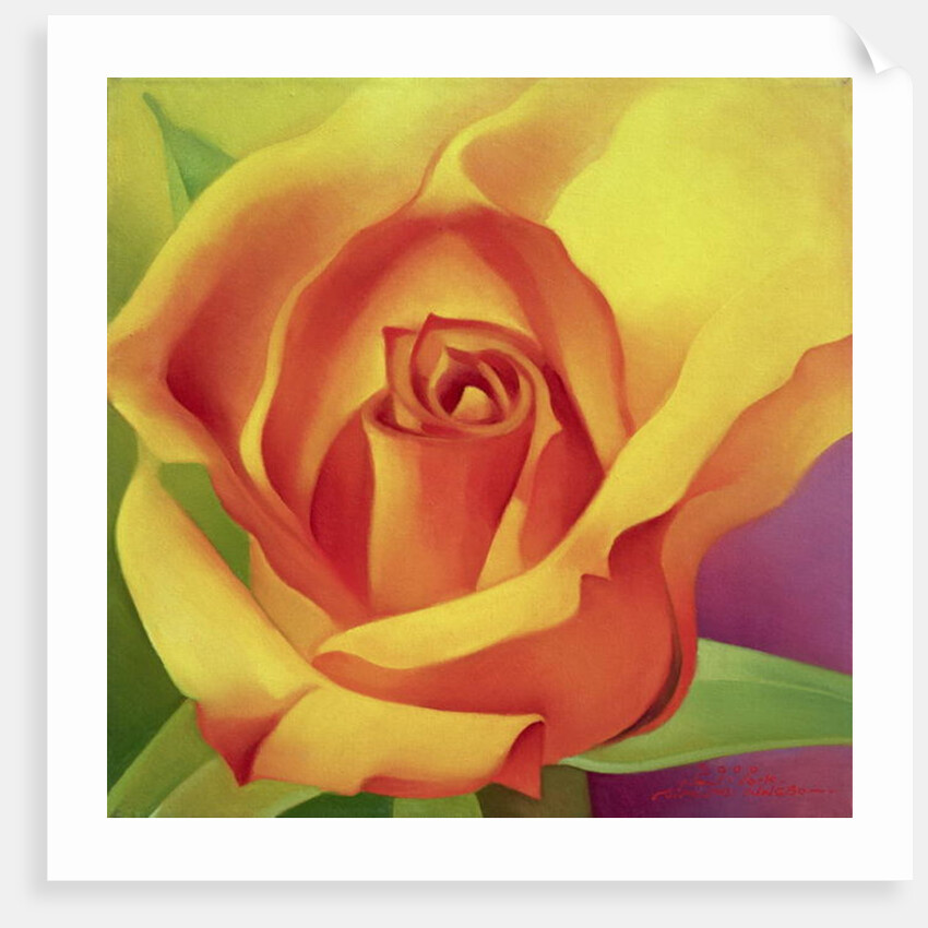 The Rose, 2000 by Myung-Bo Sim