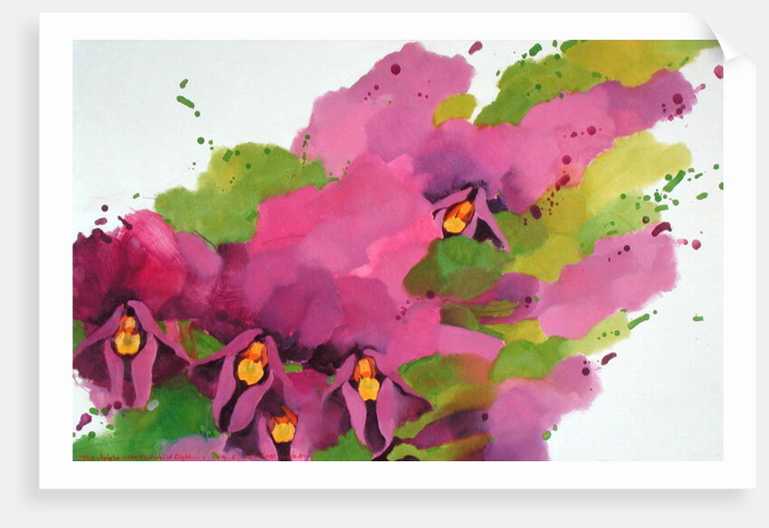 Violets, 1995 by Myung-Bo Sim