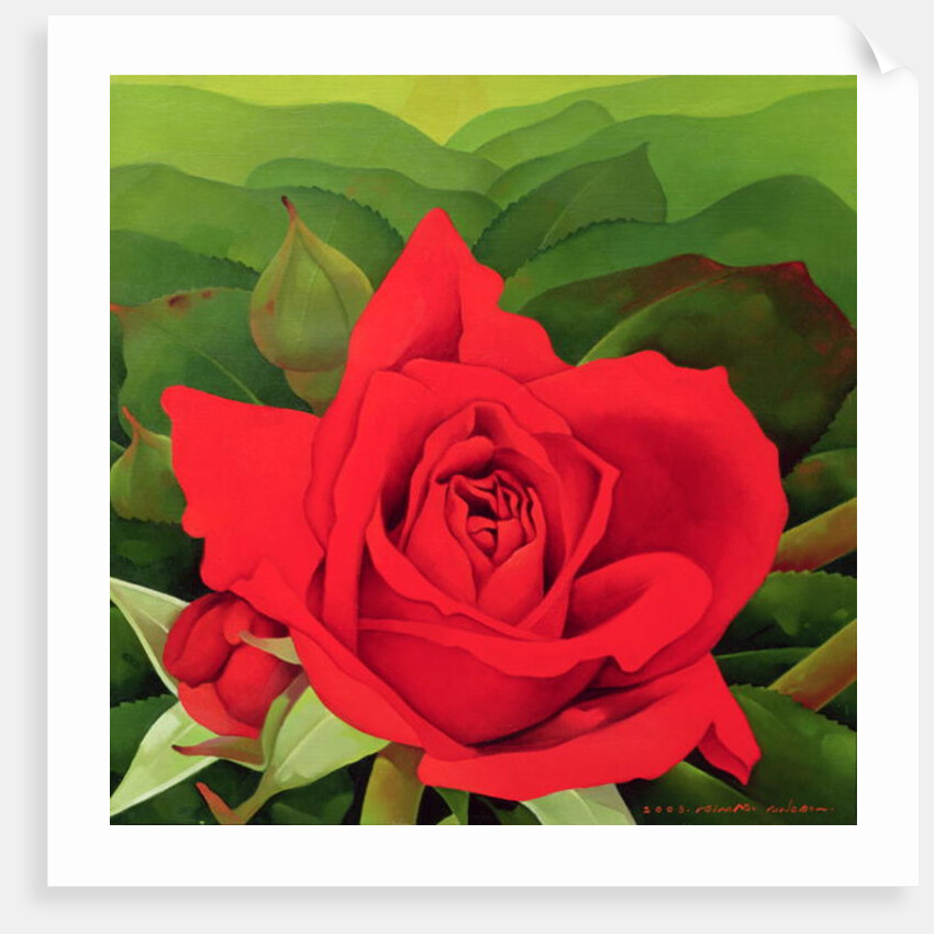 The Rose, 2003 by Myung-Bo Sim