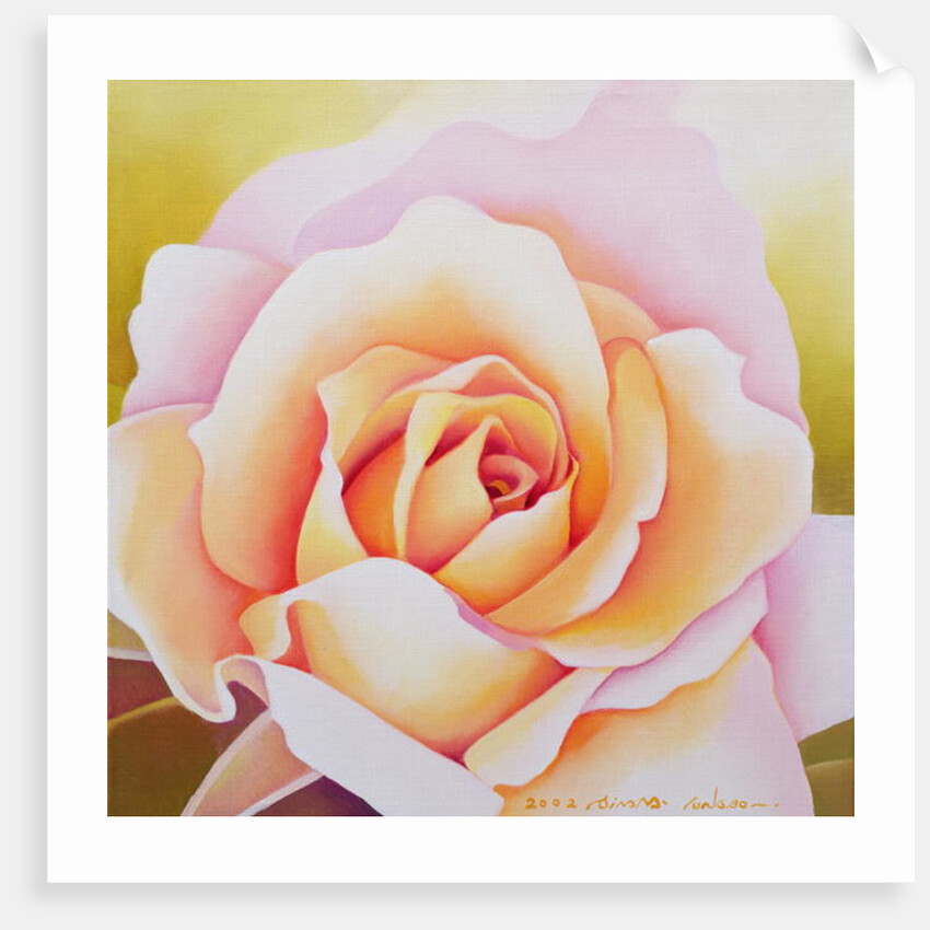 The Rose, 2002 by Myung-Bo Sim