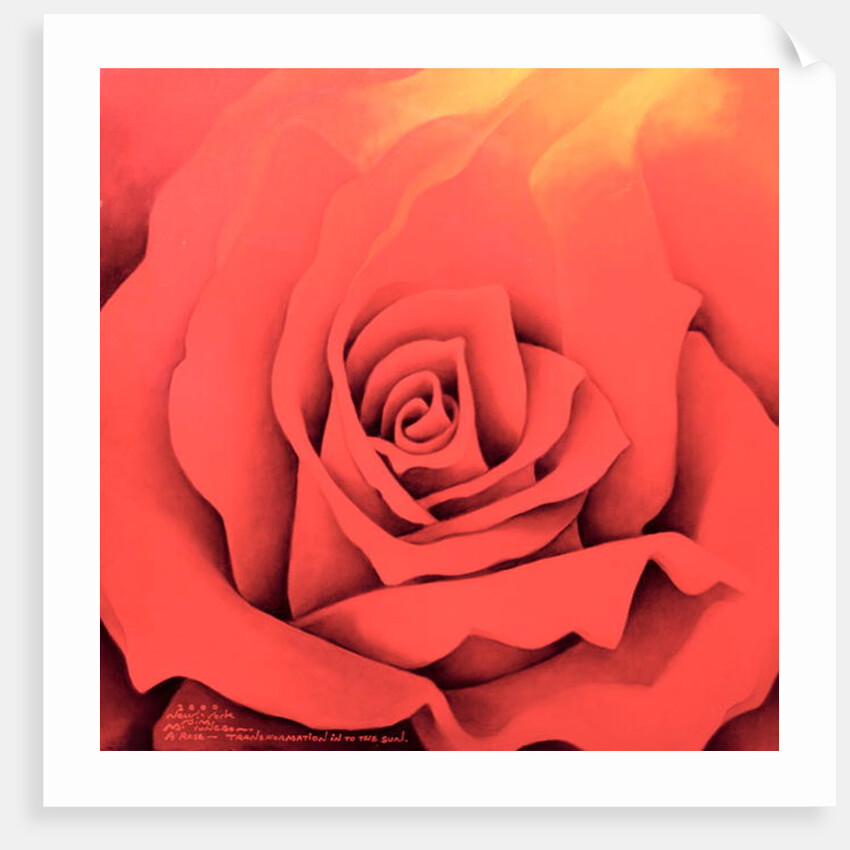 The Rose in the Festival of Light, 2000 by Myung-Bo Sim