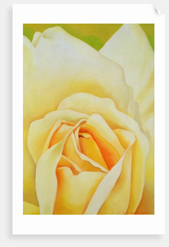 The Rose, 1995 by Myung-Bo Sim