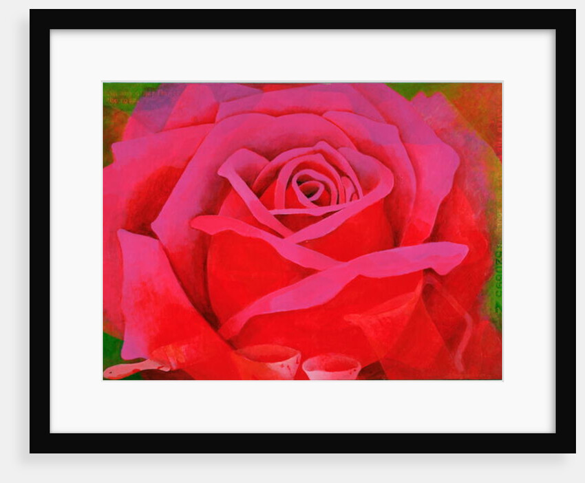 The Rose, 1995 by Myung-Bo Sim