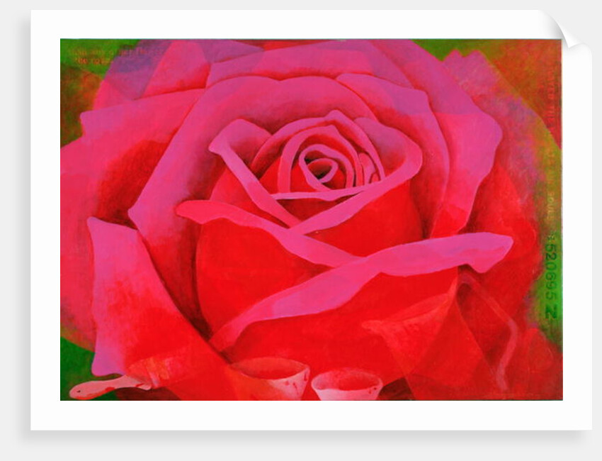 The Rose, 1995 by Myung-Bo Sim