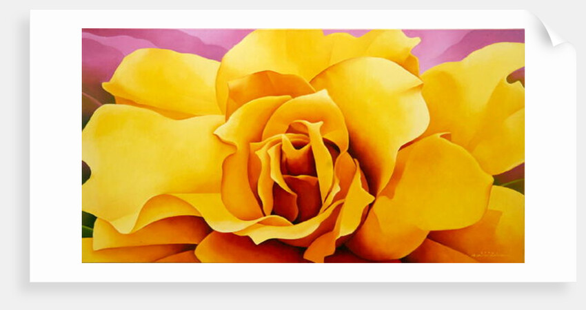 The Golden Rose, 2004 by Myung-Bo Sim