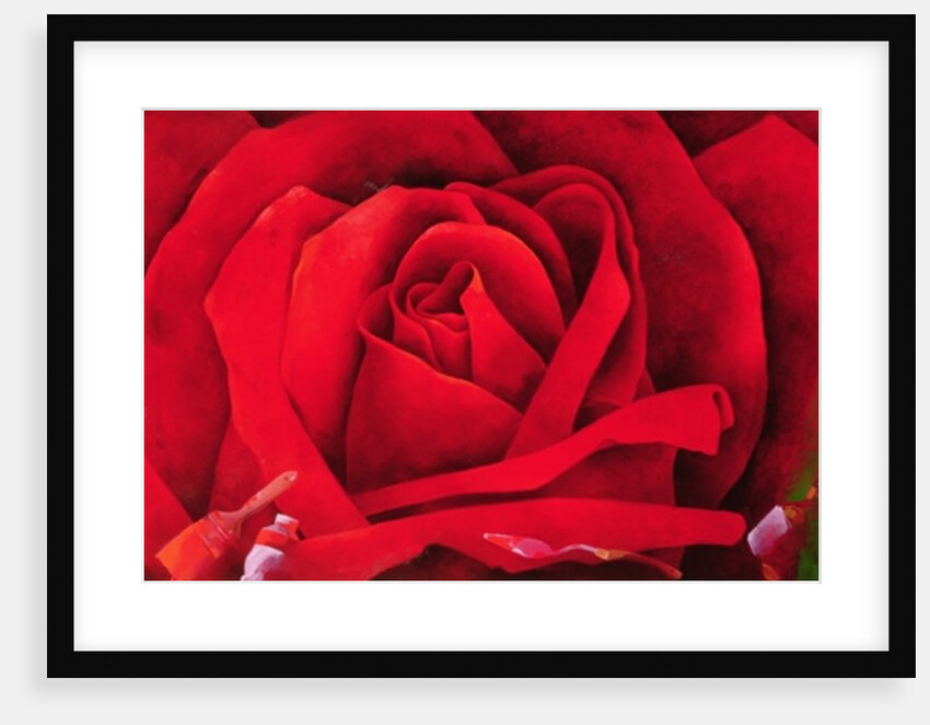 The Rose, 1997 by Myung-Bo Sim