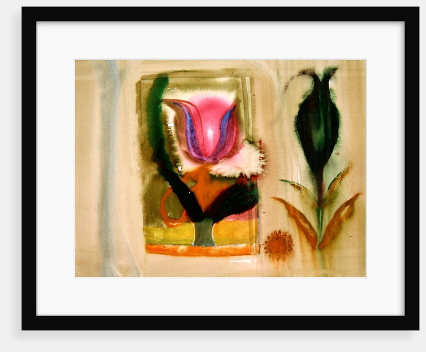 Flower burst by Michael Chase