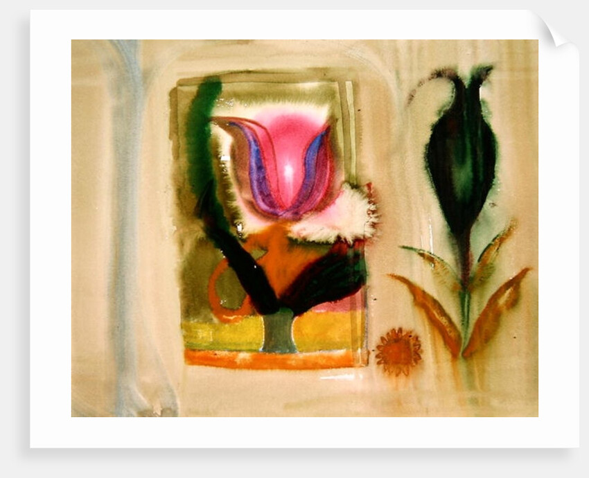 Flower burst by Michael Chase