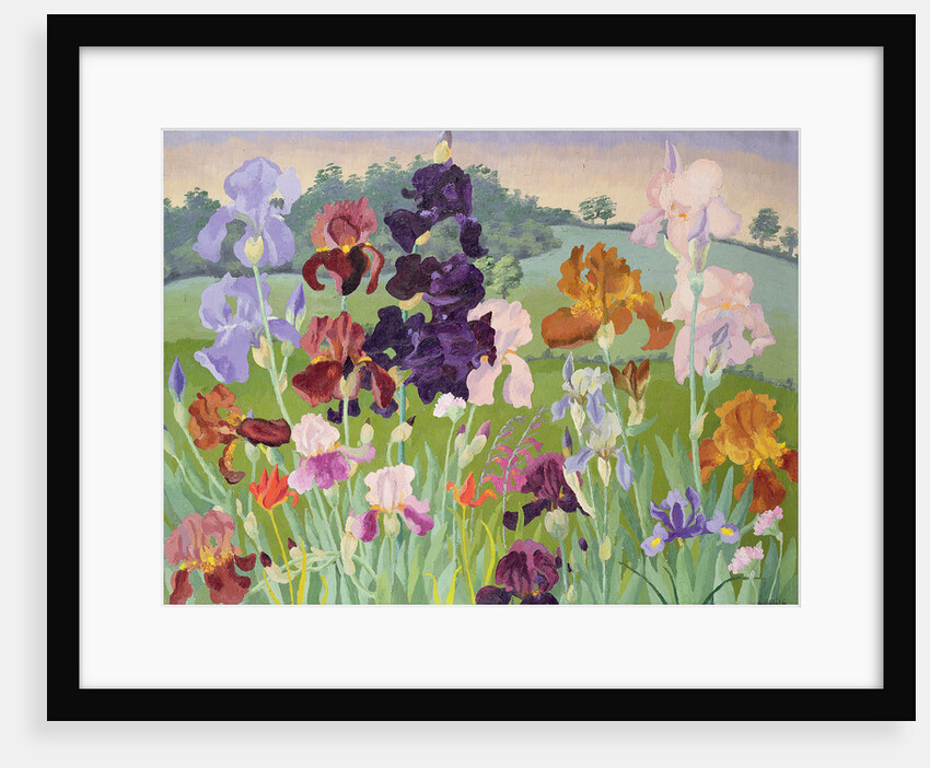 Several Inventions by Cedric Morris